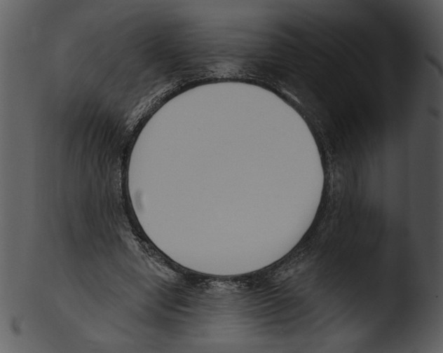 X0000103230442200809251307
