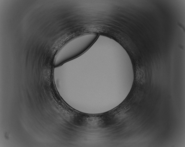 X0000103230444200809251307