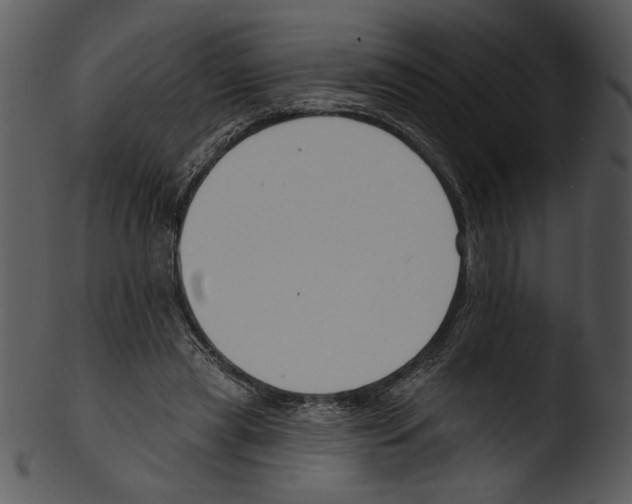 X0000103230445200809251307