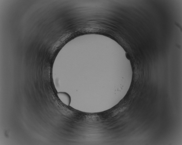 X0000103230446200809251307