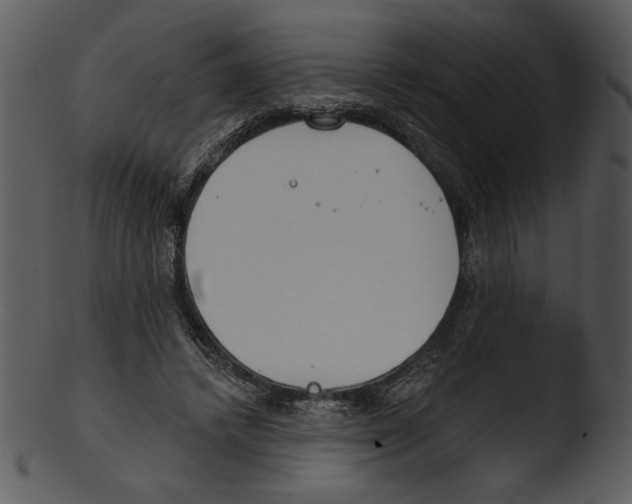 X0000103230448200809251307