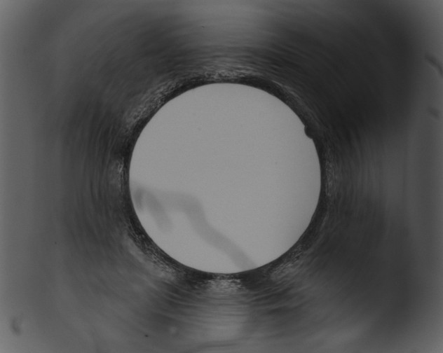 X0000103230451200809251308