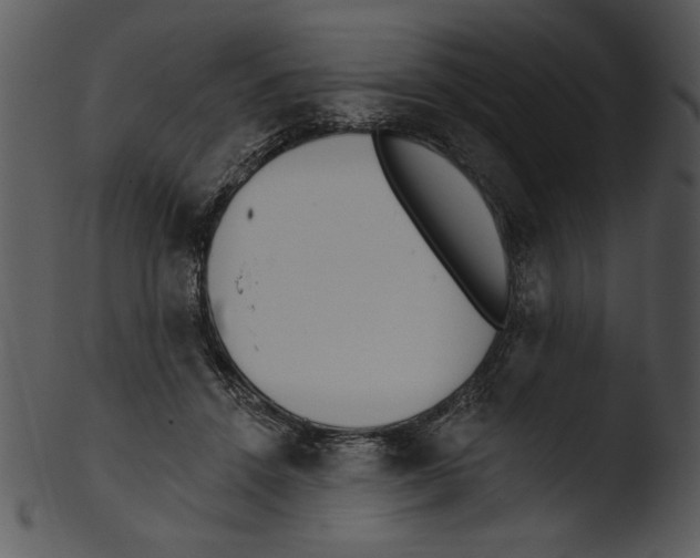 X0000103230456200809251308