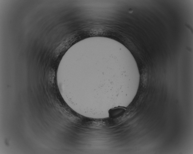 X0000103230458200809251308