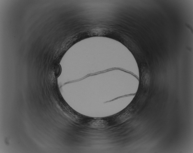X0000103230459200809251308