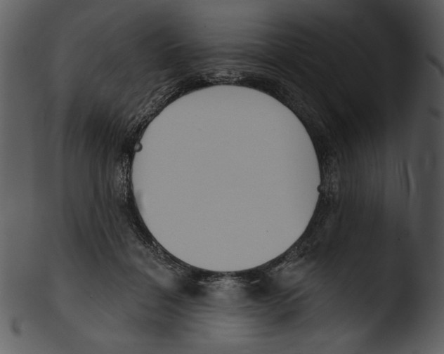 X0000103230460200809251308