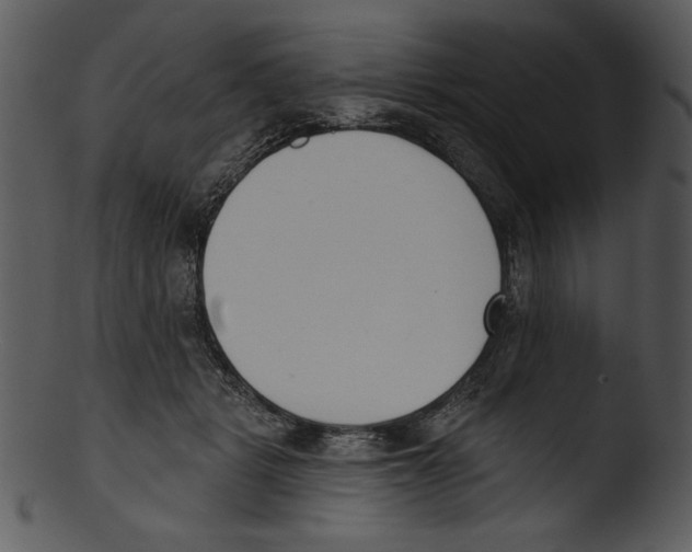X0000103230461200809251308