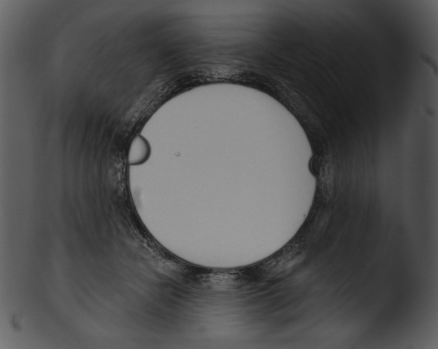 X0000103230462200809251308