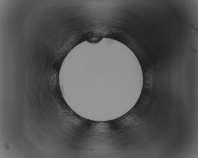X0000103230463200809251308