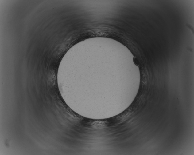 X0000103230465200809251308