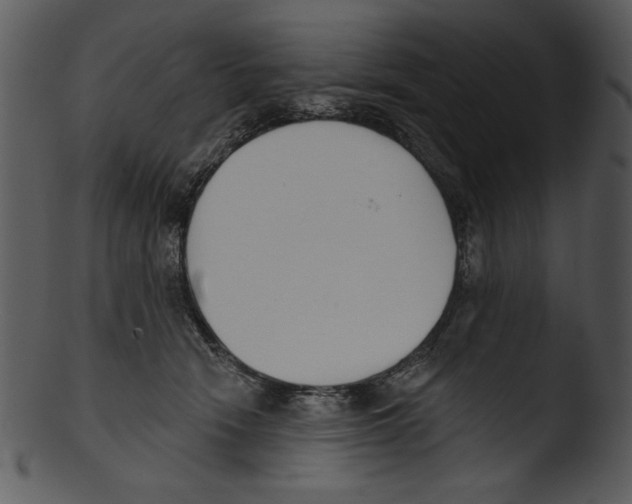 X0000103230466200809251308