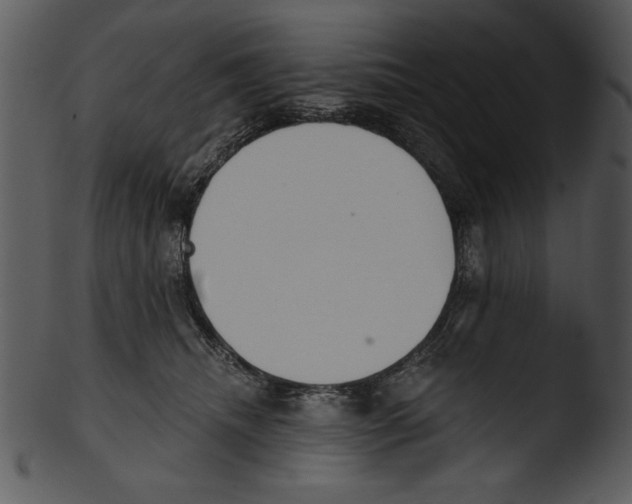 X0000103230468200809251308