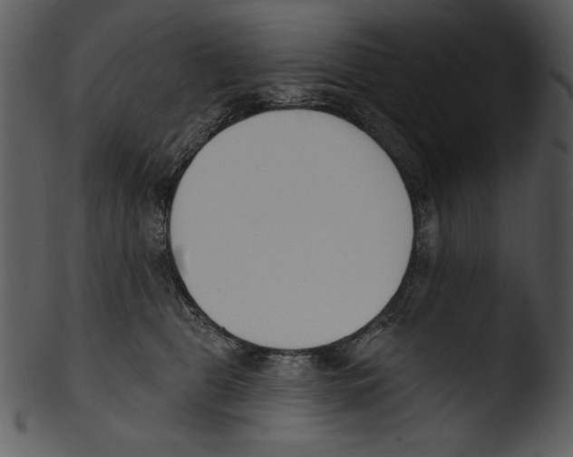 X0000103230469200809251308