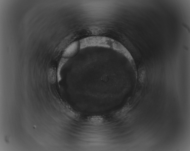 X0000103230471200809251308