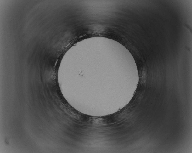 X0000103230472200809251308