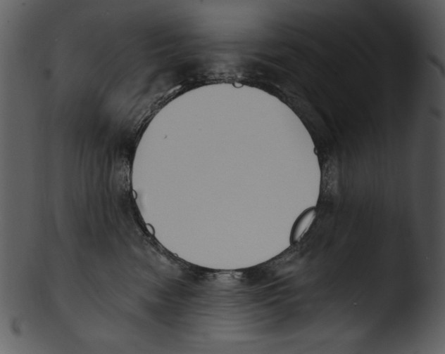 X0000103230474200809251308