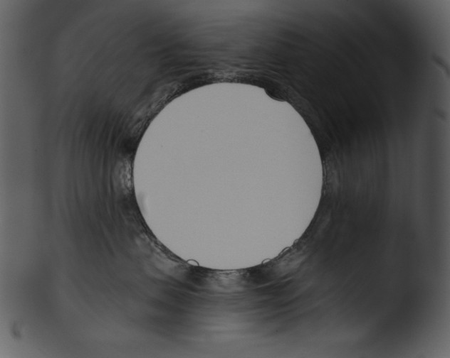 X0000103230479200809251308