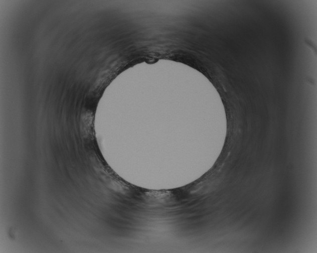 X0000103230480200809251308