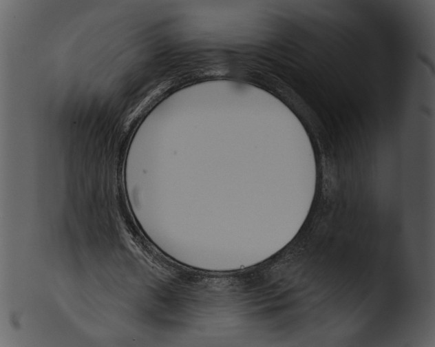 X0000103230482200809251307