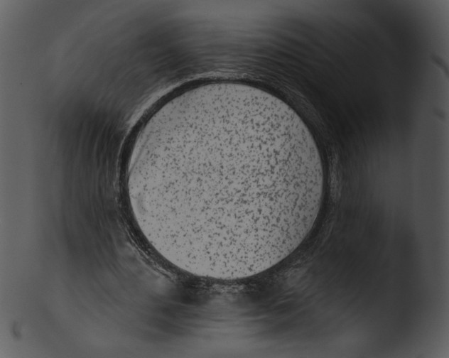 X0000103230484200809251307