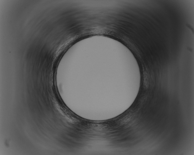 X0000103230486200809251307