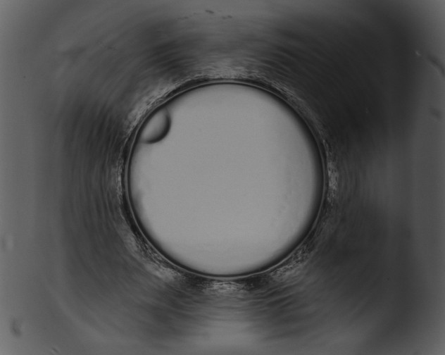 X0000103230487200809251307