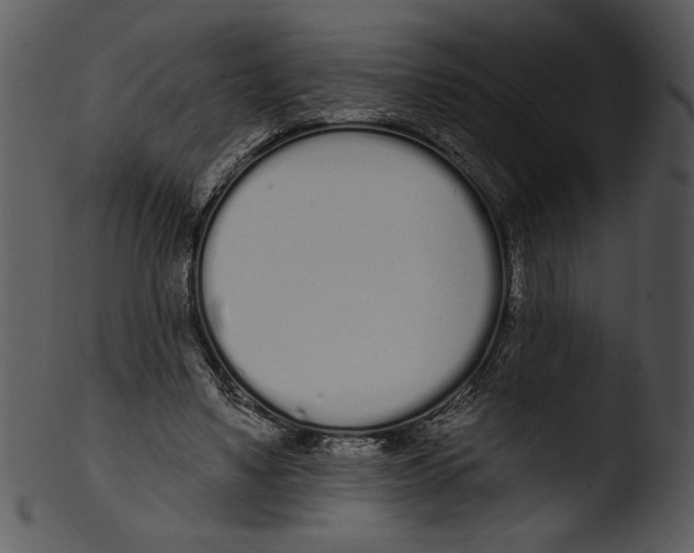 X0000103230491200809251307