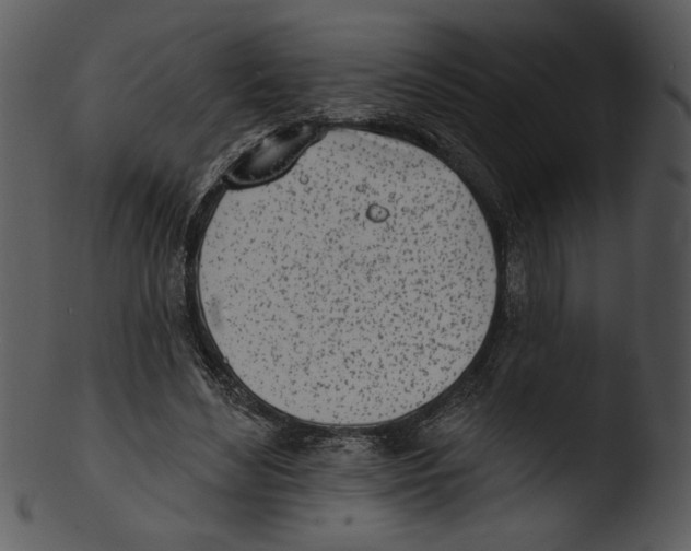 X0000103230492200809251307