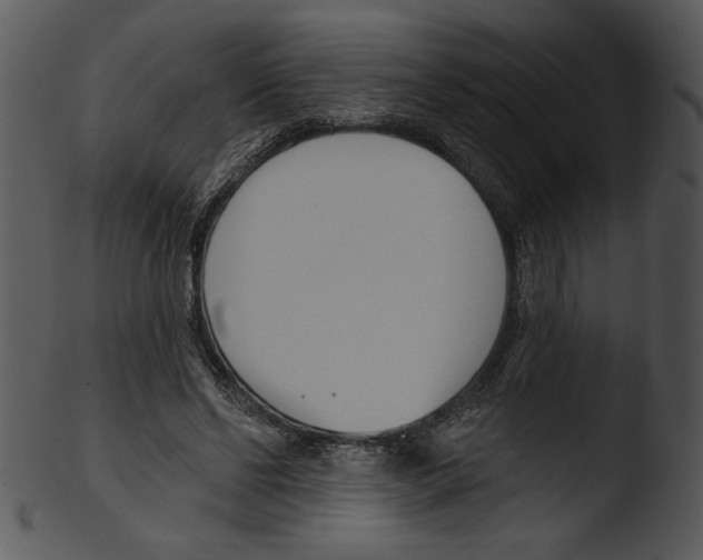 X0000103230494200809251307