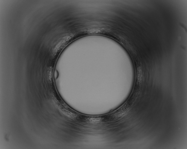 X0000103230495200809251307