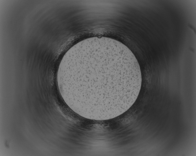 X0000103230496200809251307