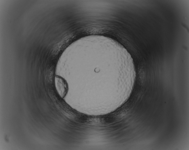 X0000103230499200809251307