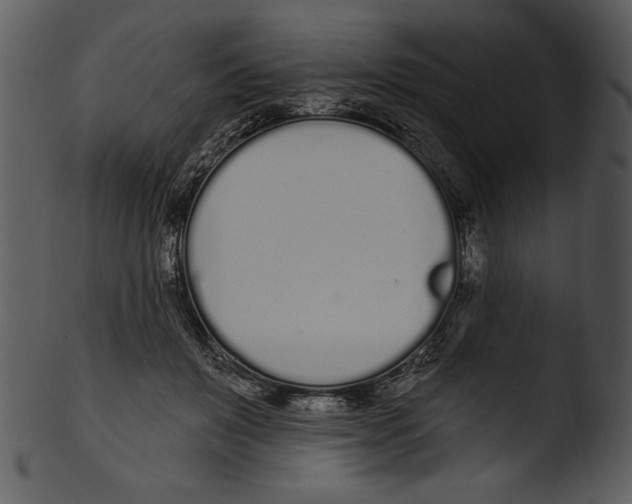 X0000103230503200809251307