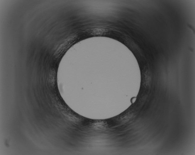X0000103230505200809251307