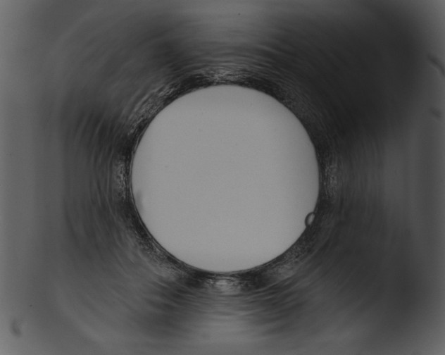X0000103230506200809251307