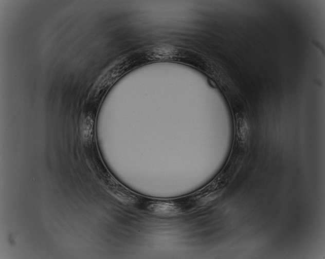 X0000103230507200809251307