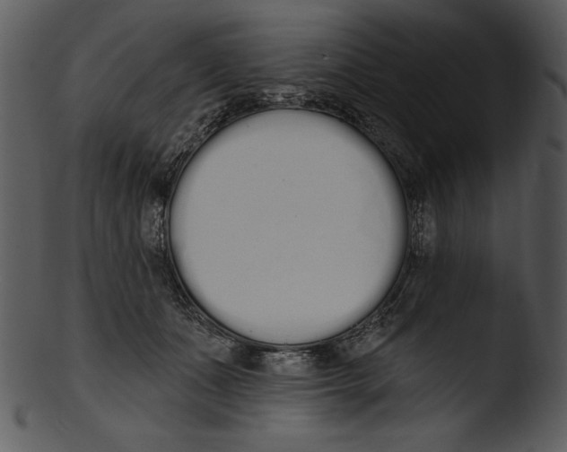 X0000103230511200809251307