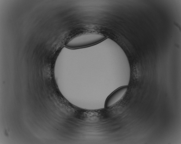 X0000103230512200809251307