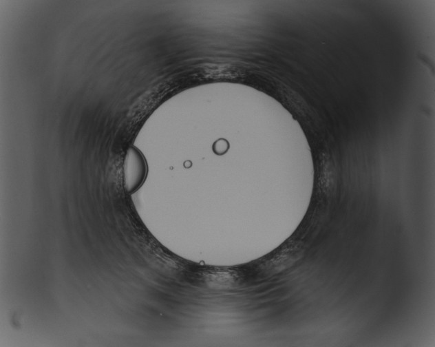X0000103230513200809251307
