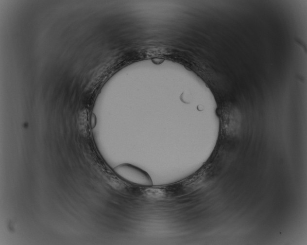 X0000103230519200809251307