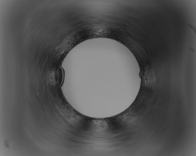 X0000103230520200809251307