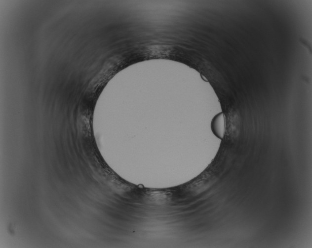 X0000103230522200809251307