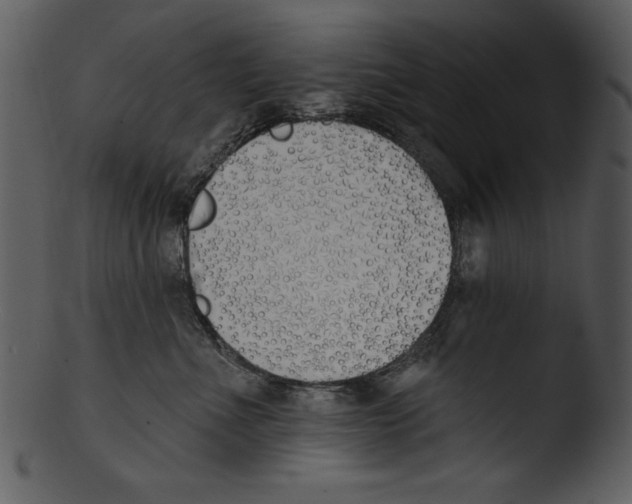 X0000103230523200809251307