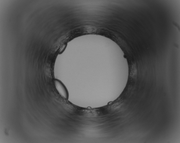 X0000103230524200809251307