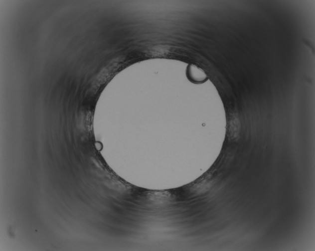 X0000103230525200809251307