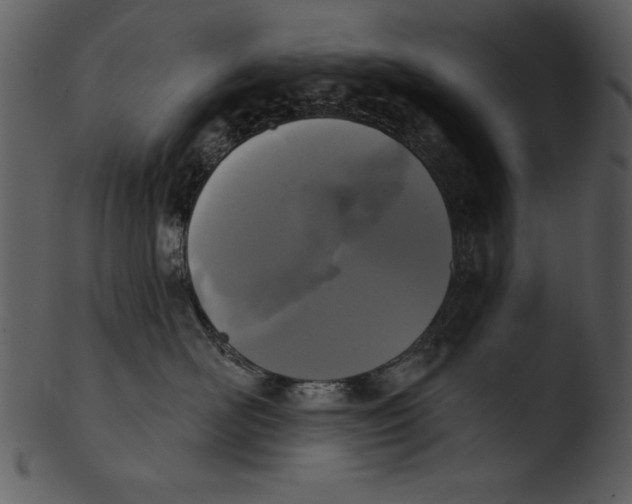 X0000103230526200809251307