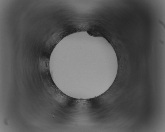 X0000103230528200809251307