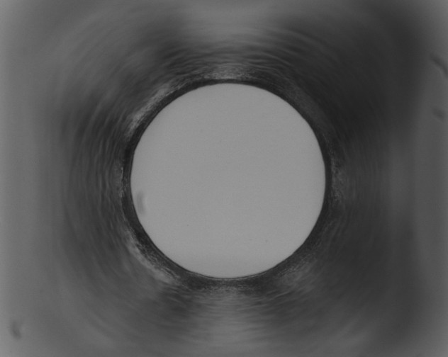 X0000103230530200809251306