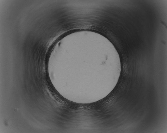 X0000103230532200809251306