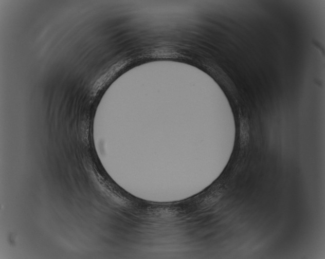 X0000103230533200809251306